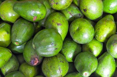 Geleneksel Markette Taze Yeşil Avokado Yığının Tam Çerçevesi, Gastronomi ve Sağlıklı Gıda Konsepti için Organik Çiğ Meyve Dokuları Arkaplanı