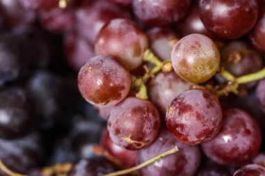 Yüksek açılı Macro Şat Taze Kırmızı Üzümler, Doğal Çiçekli Organik Tatlı Meyve Dokuları, Sağlıklı Gastronomi ve Antioksidan Gıda Konsepti Geçmişi