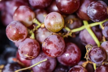 Besleyici Kırmızı ve Siyah Üzümlerin Macro Yakın Çekimi, Sağlıklı Diyet ve Sağlık Yaşam Tarzı İçin Taze Organik Meyve, Doğal Gastronomi Tasarımı İçin Doğal Çiçek Dokusuyla Canlı Üzümler