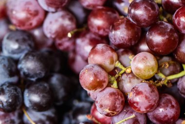 Sağlıklı Yaşam Tarzı İçin Taze Kırmızı ve Siyah Üzümler, Organik Antioksidan Süper Yiyecek Arkaplanı, Sulu Üzümlerin Makro Dokuları Doğal Beslenme ve Sağlık Konsepti İçin Doğal Çiçek Açma Paketi