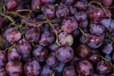 Taze Mor Üzümler Çerçevesi, Kalp Sağlığı ve Sağlığı İçin Organik Antioksidan Süper Gıda, Doğal Gastronomi ve Diyet Konsepti İçin Doğal Açan Çiğ Üzüm Dokusunun Kapanışı