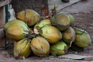 Geleneksel Açık Pazar 'da Zeminde Taze Yeşil Hindistancevizleri, Sağlıklı Su İçin Doğal İzotonik İçecek Kaynağı, Sağlıklı ve Beslenme İçin Çiğ Tropikal Meyve