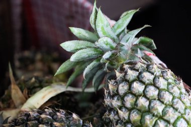Taze Ananas ve Yeşil Taç Yaprakları Geleneksel Markette, Organik Tropikal Ananas Sağlıklı Beslenme ve Detoks İçin, Çiğ Ananas Zenginliği C Vitamini, Fiber ve Sindirim Enzimi