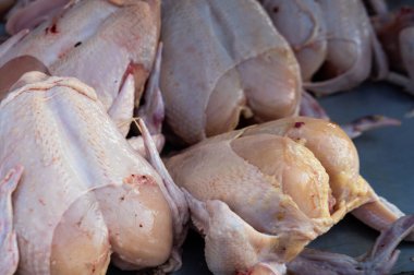Geleneksel Islak Market 'teki Metal Masa' da Taze Çiğ Tavuk Cesetleri, Gastronomi Pazarı 'nda Kümes Hayvanlarının Yakın Çekimi