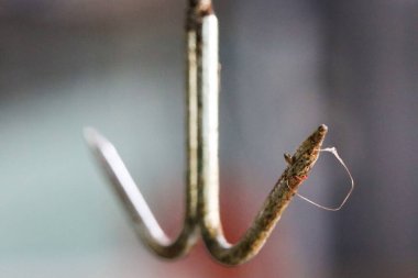 Geleneksel Kasap Dükkanında Metal Demiryolunda Asılı Boş Paslanmaz Çelik Kancalar, Yerel Islak Piyasada Gastronomi ve Et İşleme Endüstrisi Teçhizatı