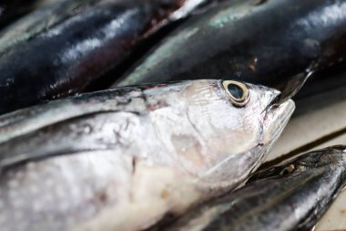 Geleneksel Kapalı Pazar, Tilapia ve Yayın Balığı Gastronomi Mutfağı İçindekiler ve Sağlıklı Deniz Proteini Kaynağında Seçici Odaklı Taze Çeşit Çiğ Balık