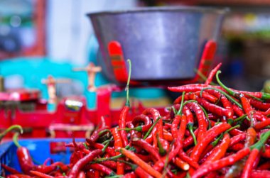 Geleneksel Pazar 'da Kırmızı Pul' un yanında taze kıvırcık biber yığını, Gastronomi için çiğ organik baharat ve acı biber sosu, Mavi Sandık Arkaplanında canlı kırmızı biber.
