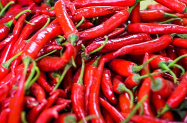 Gastronomi için Kırmızı Kıvırcık Biberlerin Tam Çerçevesi, Mutfak Mutfağı İçindekiler için Çiğ Organik Baharat Biber Arkaplanı, Piyasada Taze Hasat Edilen Sıcak Chili Ekranı