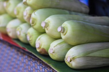 Satılık muz yaprağına istiflenmiş mısır koçanları, mide içeriği ve sağlıklı organik gıda geçmişi için taze çiğ mısır grubu.