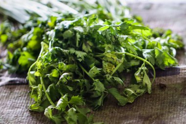 Taze Yeşil Kereviz Yaprağı Gastronomi Baharatı, Aromatik Organik Bitkiler Paketini Kapatın, Çiğ Apium Graveolens Geleneksel Piyasada Sağlıklı Yemek Gösterimi İçin Garnitür