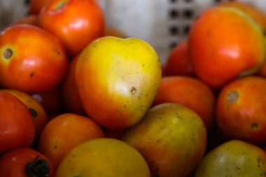 Taze Kırmızı ve Turuncu Domatesler Plastik Sepette Yığın, Gastronomi İçin Olgun Organik Domates, Geleneksel Asya Marketinde Sağlıklı Sebze Gösterimi