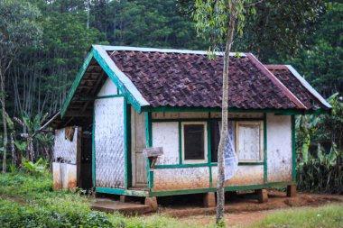 Geleneksel Kır Köy Evi Kil Döşeme Çatı Mimarisi ve Tropik Kırsal Çevredeki Ağaçlar Tarafından Gölgelenmiş Yeşil Bahçe