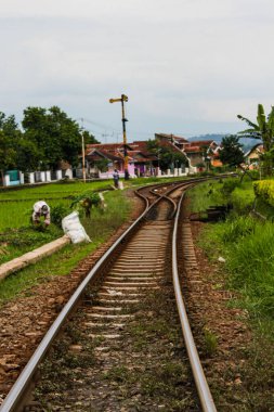 Yeşil Pirinç Tarlası ve Gökyüzü Altında Geleneksel Ev Mimarisi ile Kırsal Köy Pistinde Tek Eğri Demiryolu