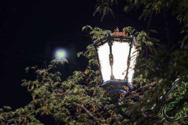 Karanlık Gökyüzüne Karşı Gece Parlayan Süslü Metal oymalarıyla Süslü Klasik Sokak Lambası ve Açık Şehir Işığı Tasarımı İçin Yeşil Yapraklar