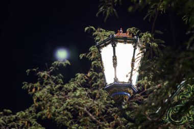 Süslü Çerçeveli Dekoratif Sokak Feneri Klasik Şehir Işıkları İçin Karanlık Yeşilliklere Karşı Parıldıyor