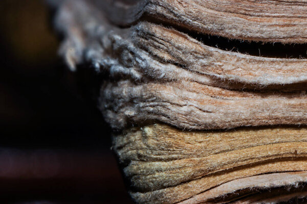 Extreme Macro Texture of Old Book Pages with Yellowed Weathered Edges, Close Up of Antique Paper Stack for Historical Research, Library Archive, and Academic Wisdom Background in Cipanas House