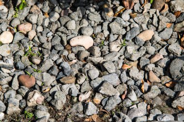 Pürüzsüz Yuvarlak Nehir Kayaları ve Zen Bahçesi Tasarımı İçin Doğal Mineral Detayları ile Beyaz Çakıl Taşı Dokuma Arkaplanı