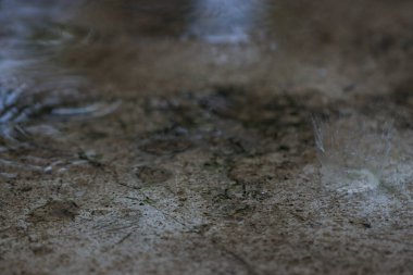 Çatlak Beton Döşeme Arkaplan Dokusuna Dinamik Su Sıçratması Soyut Yağmur Damlası Etkisi Islak Yüzeye Dalgalanma ve Kentsel Hava Durumu Hareketi