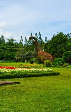 Güzel Botanik Bahçesinde Yaşayan Bitkilerden Yapılan Dev Dinozor Toprak Heykeli
