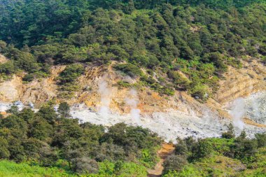 Rocky Hillside 'da Buhar Havalandırması ve Sülfür Depolarıyla Aktif Volkanik Krater, Yeşil Orman Bitkisi ile Sahne Jeotermal Arazisi, Dağ Yamacından Doğal Duman Patlaması