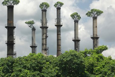 Sıfır Co2 emisyonu 