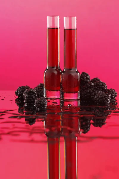 树莓酒或白酒 — 图库照片