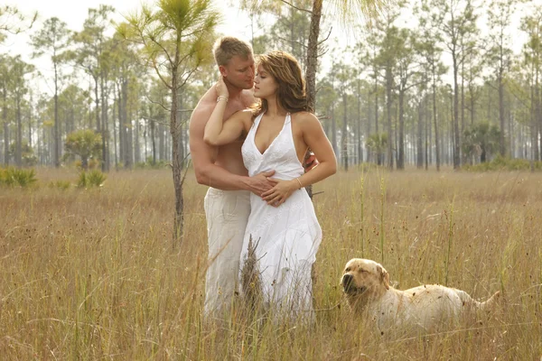 Amor pareja en salvaje hierba —  Fotos de Stock