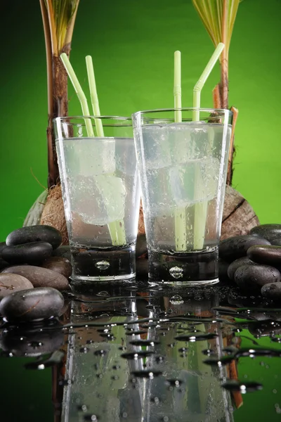 Wasser mit Kokosmilch — Stockfoto