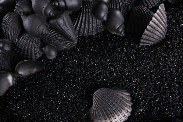 Black sand and seashells