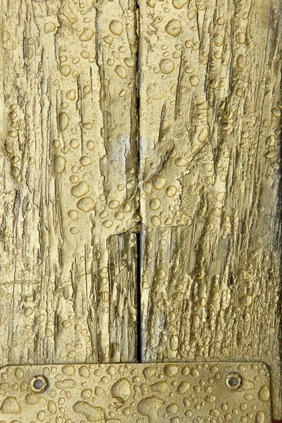 Wet old wood background — ストック写真