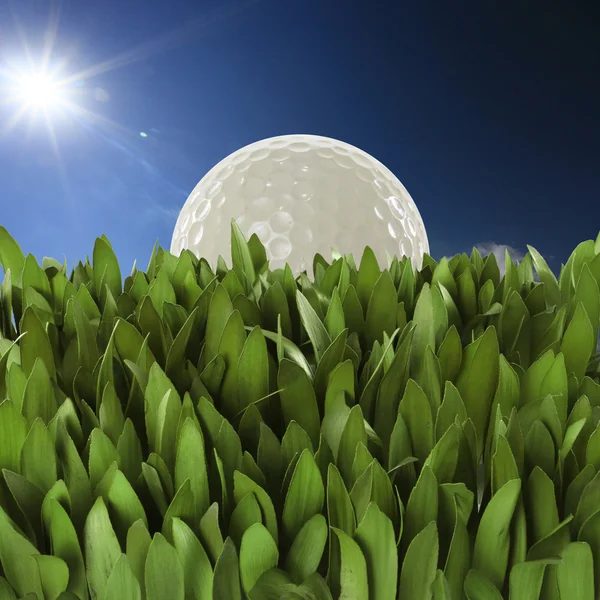 Golf ball on grass — Stock Photo, Image