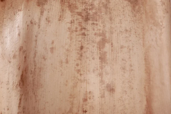Textura seca de hoja de cáscara de bambú —  Fotos de Stock