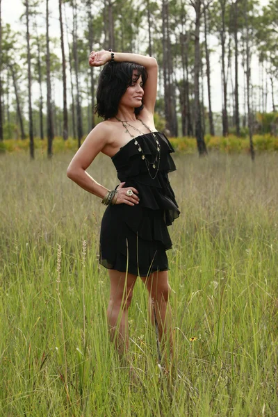 Brunette girl posing in the field — Stock Photo, Image