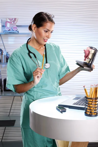 Urólogo sosteniendo un modelo de vejiga femenina — Foto de Stock