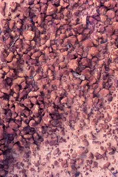 Gravel texture from a soil ric — 스톡 사진