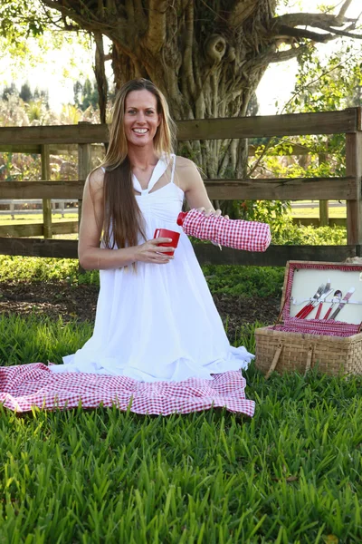 Carino ragazza bionda su un picnic — Foto Stock