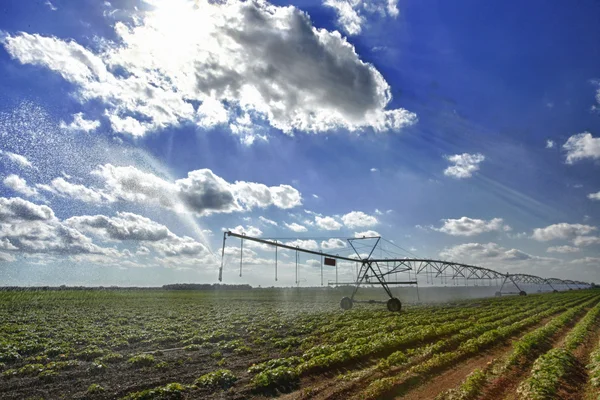 Sistema de riego de campo y mecánico —  Fotos de Stock