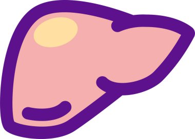 Karaciğer simgesi ve vektör illüstrasyonu beyaz arkaplanda izole edildi 