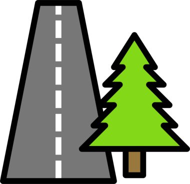 Yeşil yapraklı çam ağacı