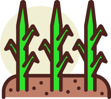 ekoloji, biyolojik kirlilik kavramı 