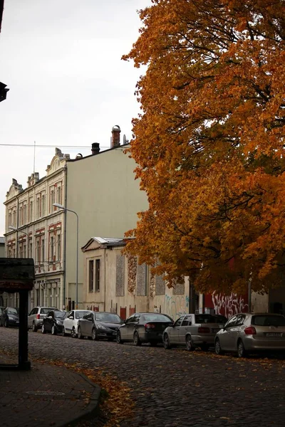 Fall Liepaja Latvia — Stock Photo, Image