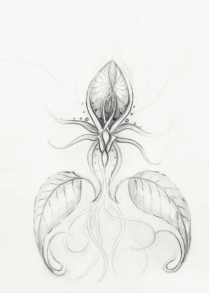 Eski kağıt üzerine çizim kalem. Süs çiçek. — Stok fotoğraf
