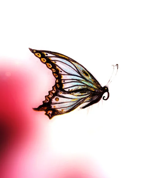 Ilustração de uma borboleta, meio misto, fundo de cor abstrato . — Fotografia de Stock