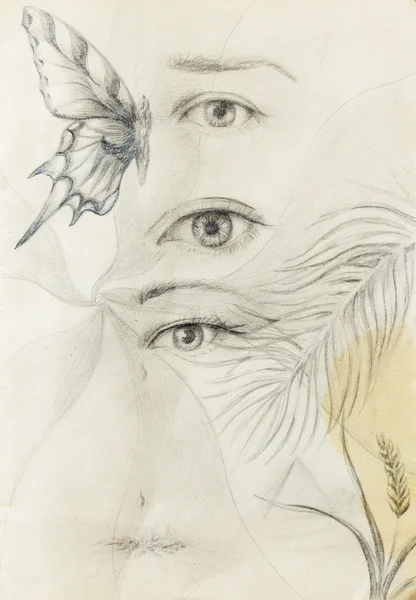 Woman eye and butterfly with plants, Drawing on vintage paper. — Stock Photo, Image