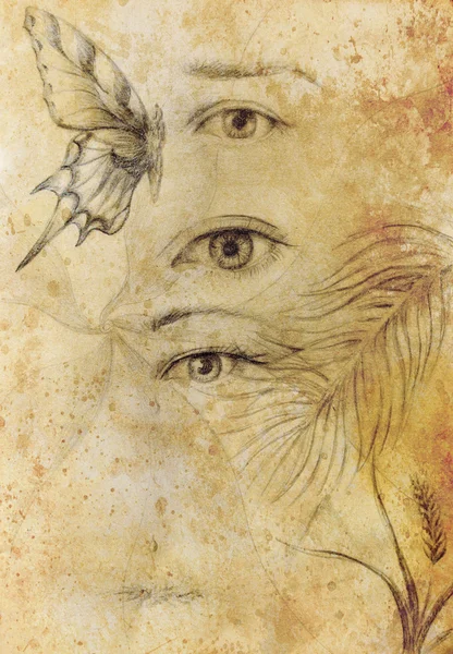 Woman eye and butterfly with plants, Drawing on vintage paper. — Stock Photo, Image