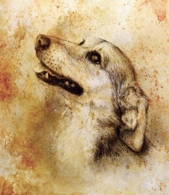 Eski kağıt, vintage kağıt ve renkli noktalar eski yapısıyla köpek karakalem.