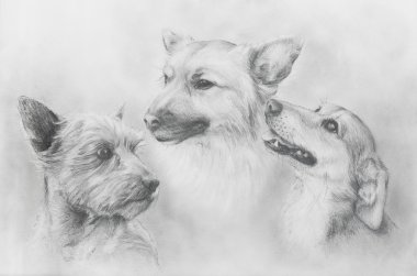 Köpekler kalem eski kağıt, Köpekler portre üzerine çizim. Köpek portresi.