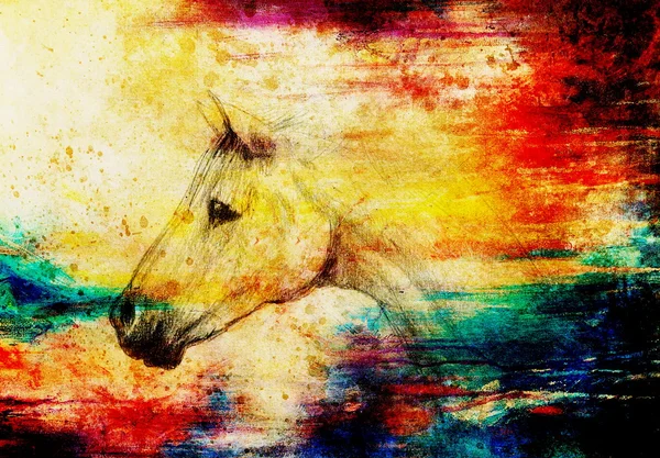 Draw pencil horse on old paper, vintage paper and old structure with color spots. — Stock Photo, Image