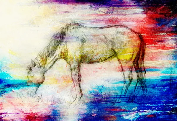 Bleistift Pferd auf altem Papier, Altpapier und alte Struktur mit Farbflecken zeichnen. — Stockfoto