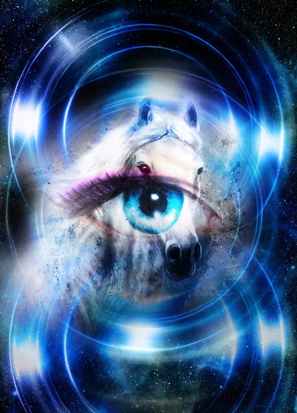 Horse in space and woman eye and circle light. Animal concept.       Winter effect and blue color. — Stock Photo, Image